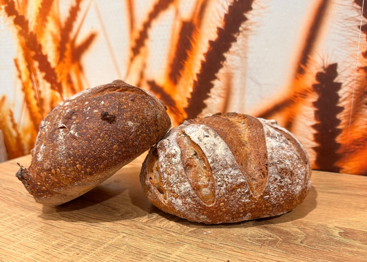 Pain aux Noix 300g